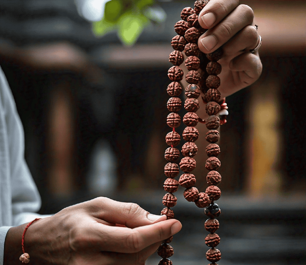 what is rudraksha